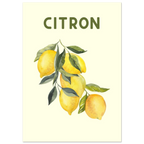 9bba0685-218c-4243-a571-b470df21893b